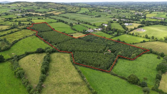 Cormaddyduff, Ballyjamesduff, Co. Cavan