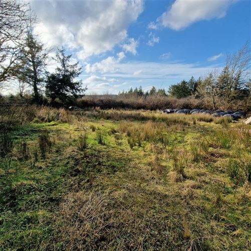Cragg, Mountcollins, Co. Limerick