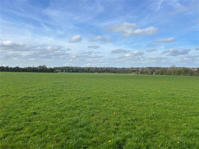 Photo 20 of 24 — LOT 3: Bungalow on c. 27.8 Acres, Gormanstown, Kilcullen, Co. Kildare