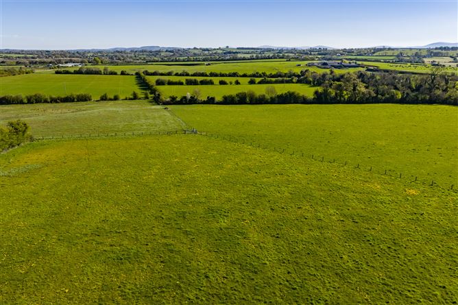 Photo 22 of 24 — LOT 3: Bungalow on c. 27.8 Acres, Gormanstown, Kilcullen, Co. Kildare
