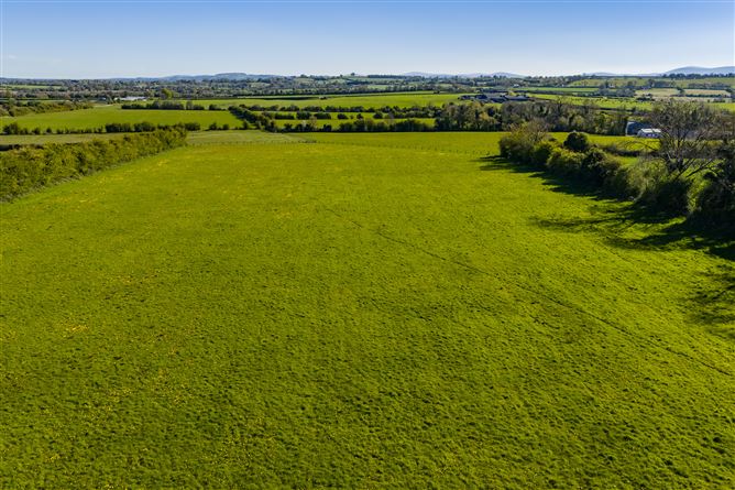 Photo 23 of 24 — LOT 3: Bungalow on c. 27.8 Acres, Gormanstown, Kilcullen, Co. Kildare