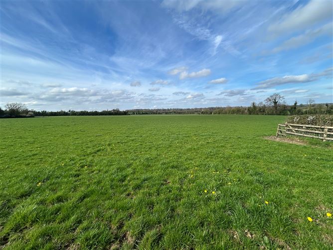 Photo 21 of 24 — LOT 3: Bungalow on c. 27.8 Acres, Gormanstown, Kilcullen, Co. Kildare