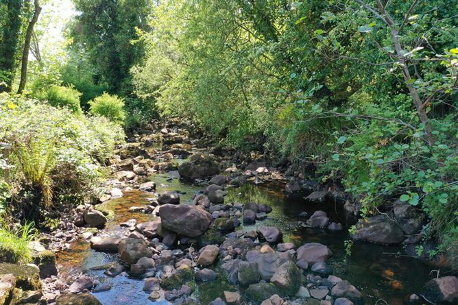 Gubnaveagh, Aghacashel, Carrick-On-Shannon, Leitrim