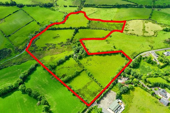 Land And Derelict Cottage, Ballydurrow, Ryefield, Virginia, Cavan