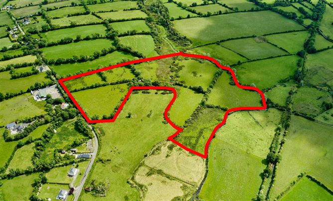 Land And Derelict Cottage, Ballydurrow, Ryefield, Virginia, Cavan