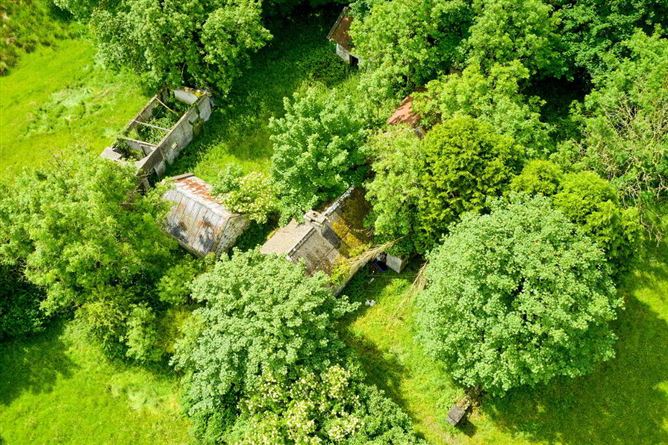 Land And Derelict Cottage, Ballydurrow, Ryefield, Virginia, Cavan