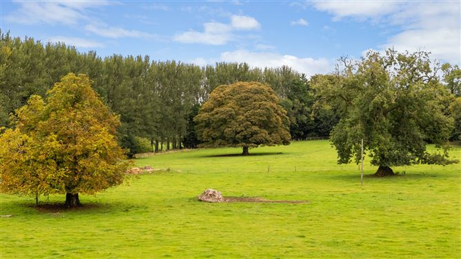 Griffinstown House, Griffinstown Upper, Dunlavin, Co. Wicklow