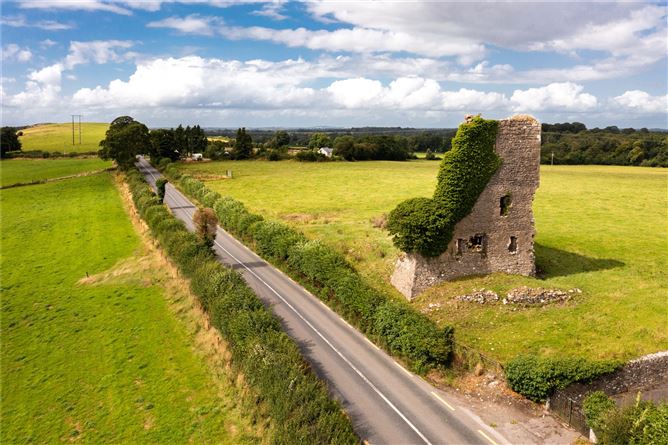 Carrick Farmhouse & Lands, Approx. 29 Hectares (74 Acres), Carbury, County Kildare