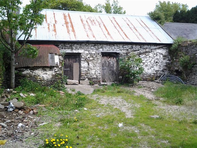 School Height, Carnew, Wicklow