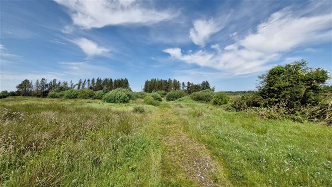0.47ha / 1.16ac Site, Kinreask, Gurteen, Ballinasloe, Co. Galway
