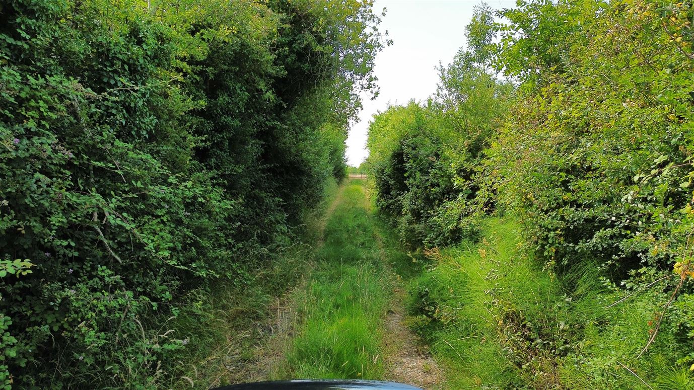 Ballyoughna, Ballygarrett, Wexford