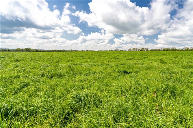 Brownstown Estate, Brownstown, Navan, Co. Meath