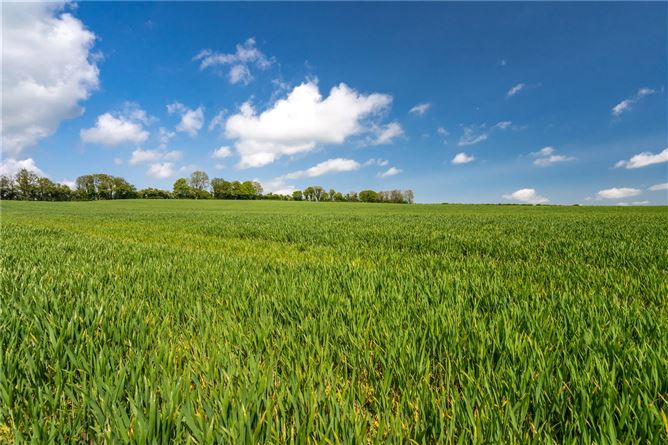 Brownstown Estate, Brownstown, Navan, Co. Meath