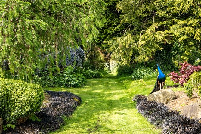 Brownstown Estate, Brownstown, Navan, Co. Meath