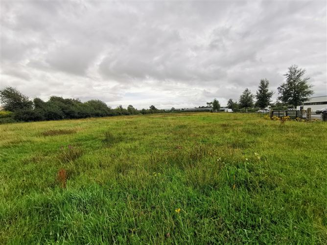4.55 Acres Prime Development Land, Tonbwee, Castleisland, Co. Kerry