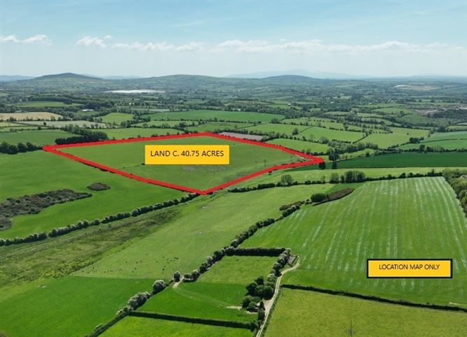 Land C. 40.75 Acres, Crookstown East, Ballitore, Kildare