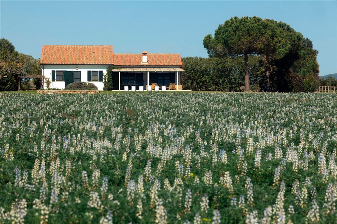 Pinturas,Chiarone Scalo,Tuscany,Italy