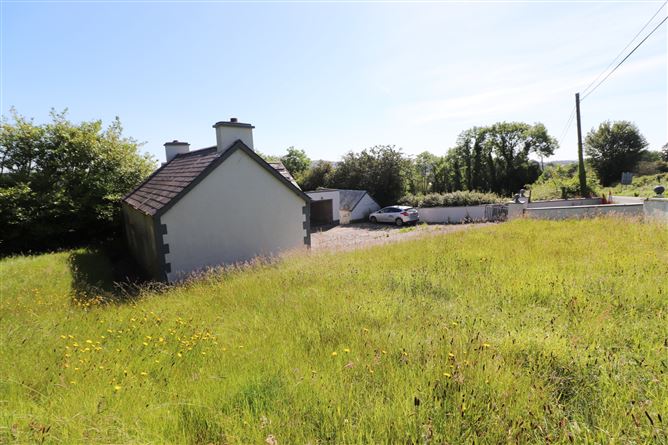 Coppanagh, Virginia, Cavan