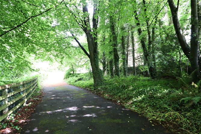 Middle Lodge, Solsborough, Enniscorthy, Co. Wexford.