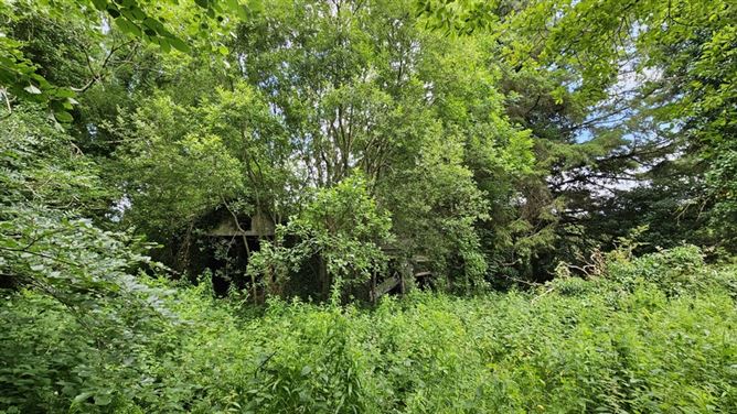 Drumboe Lower, Stranorlar, Co. Donegal, DLSTRAN