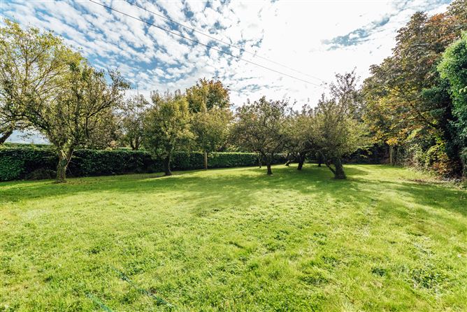 Boherard, Old Connell, Newbridge, Co. Kildare