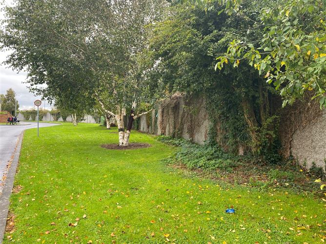 20 College View, Mountmellick, Laois