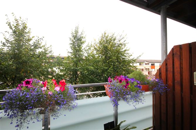 313 Olcovar, Shankill, Dublin 18