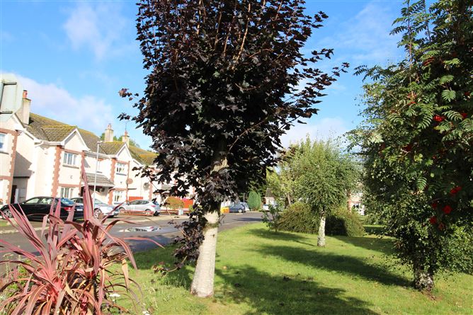 4 Annesley Court, Camolin, Wexford