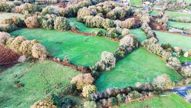 Lands Lisheen, Clonmel, Co. Waterford