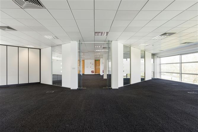 2024 Bianconi Avenue, Citywest Business Campus, Dublin 24