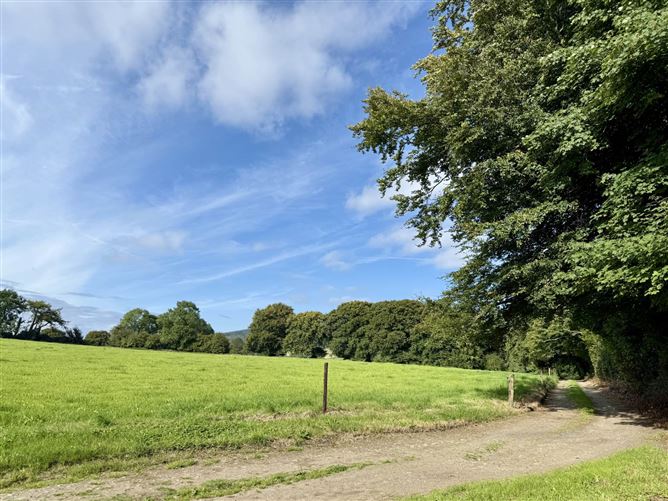 Ballyrory (C. 232.8 Acre Residential Holding), Gorey, County Wexford