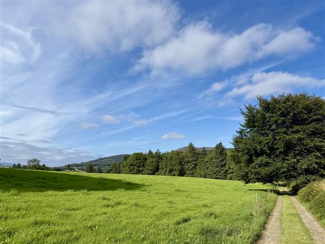Ballyrory (C. 232.8 Acre Residential Holding), Gorey, County Wexford