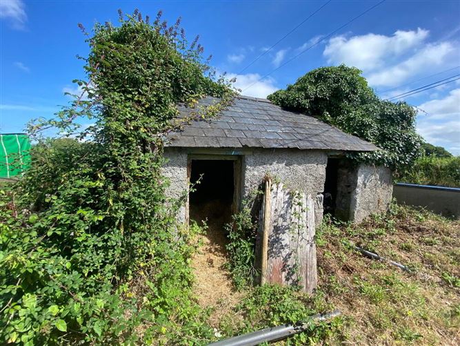 Bawnavrona, Mullinahone, Thurles, Tipperary