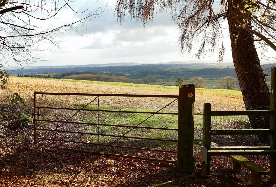 The Nature's Path,Stansbatch, Herefordshire, United Kingdom
