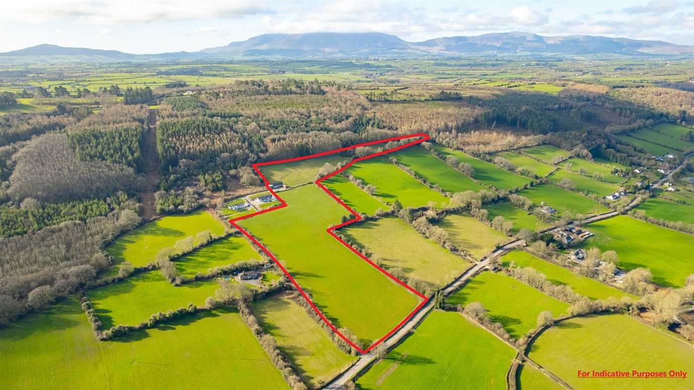 Lands 13.07 Acres, Coolnamuck, Carrick-On-Suir, Co. Tipperary