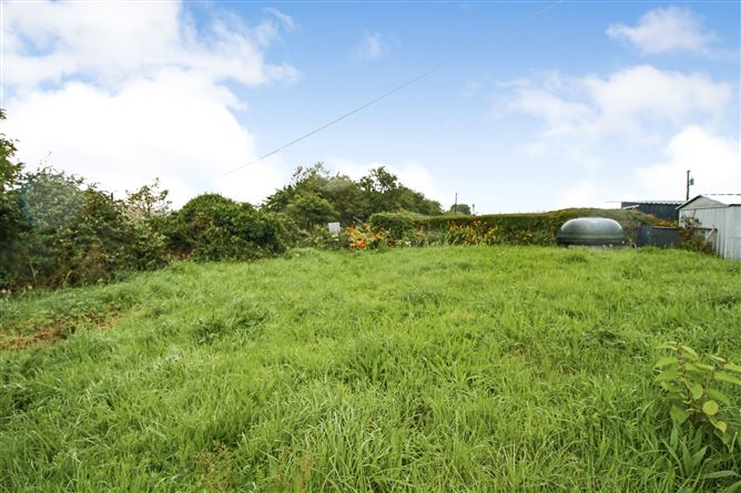 Derreenavoggy, Arigna, Co. Roscommon