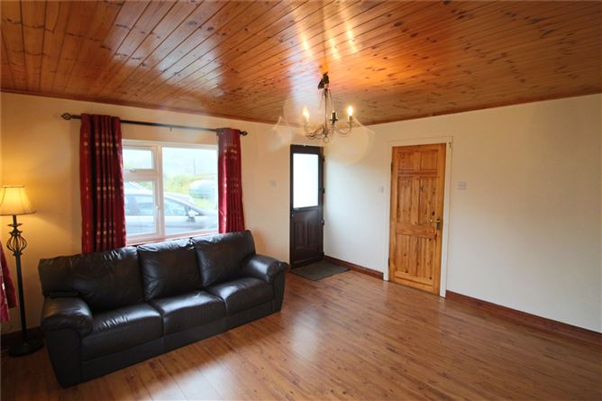 Derreenavoggy, Arigna, Co. Roscommon