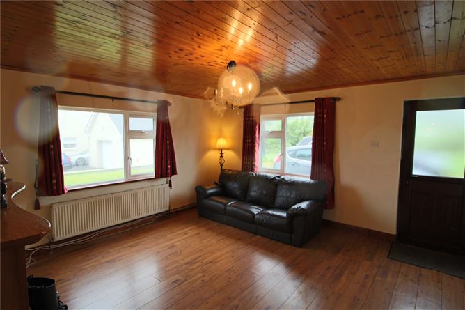 Derreenavoggy, Arigna, Co. Roscommon