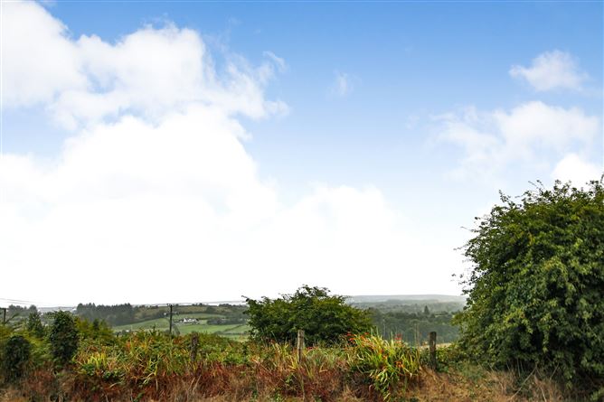 Derreenavoggy, Arigna, Co. Roscommon