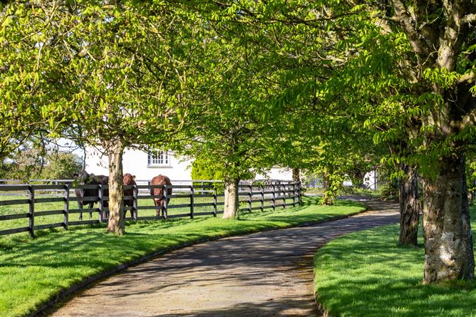 Eadestown House, Eadestown, Naas, Co. Kildare