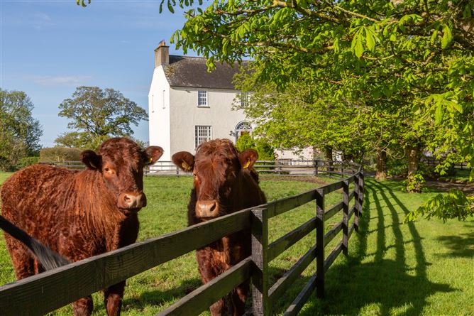 Eadestown House, Eadestown, Naas, Co. Kildare