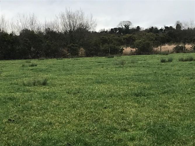 Land At Clondelara, Shannon Bridge, Co. Offaly