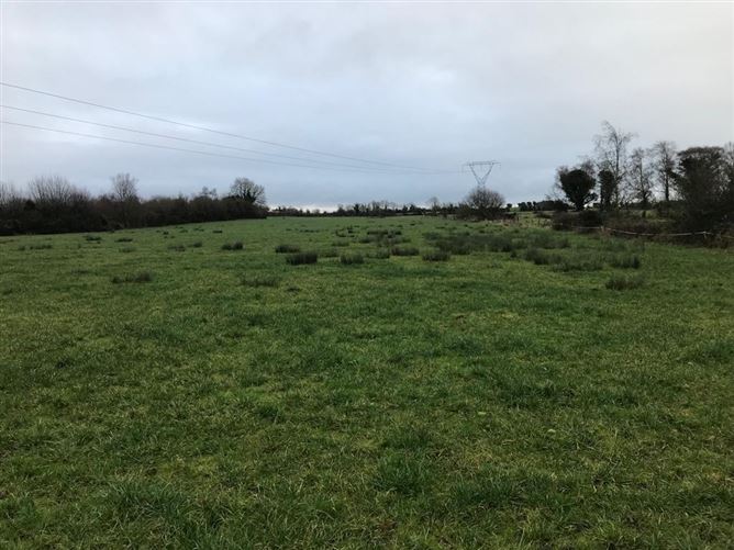 Land At Clondelara, Shannon Bridge, Co. Offaly
