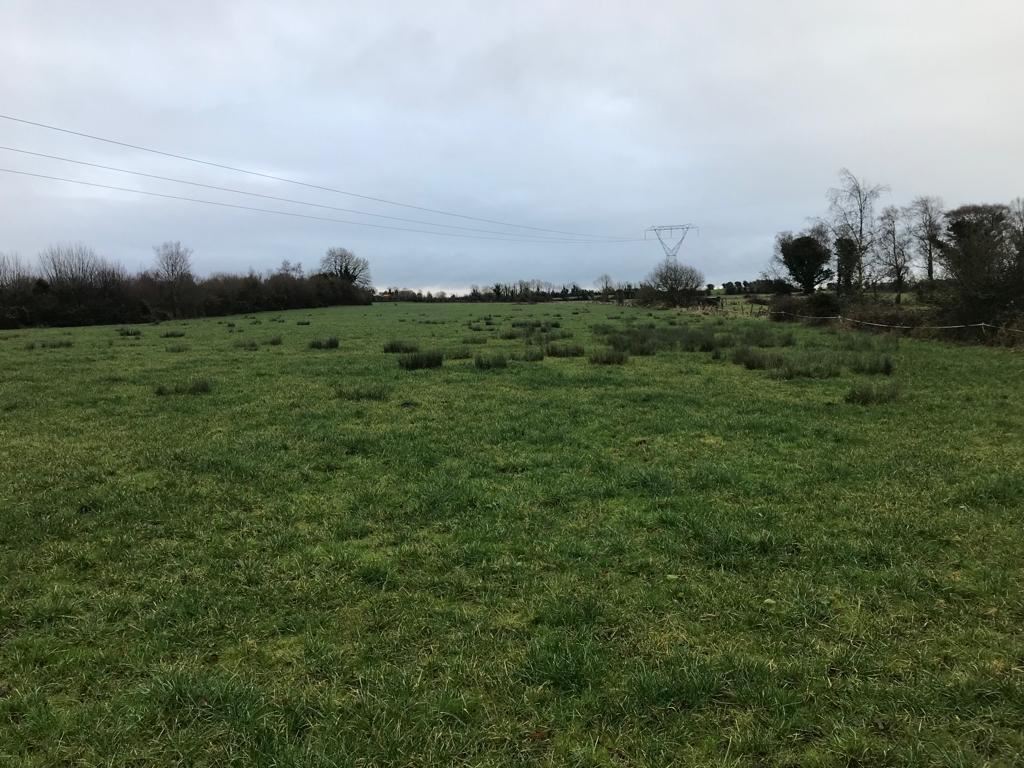 Land At Clondelara, Shannon Bridge, Co. Offaly