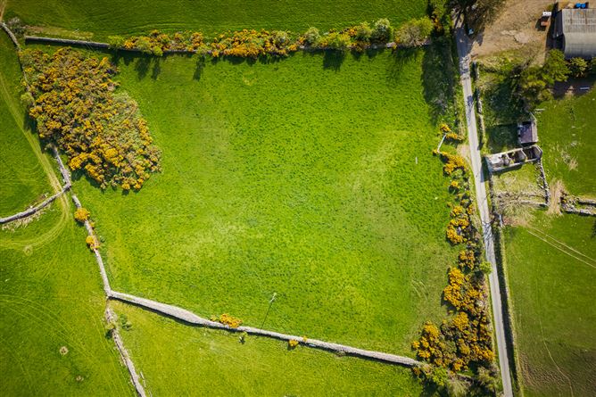 3.5 Acres Grazing Lands, Jenkinstown, Co. Louth