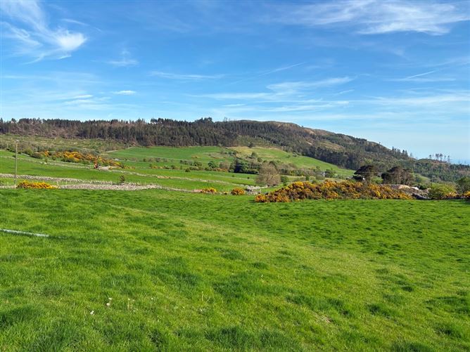 3.5 Acres Grazing Lands, Jenkinstown, Co. Louth