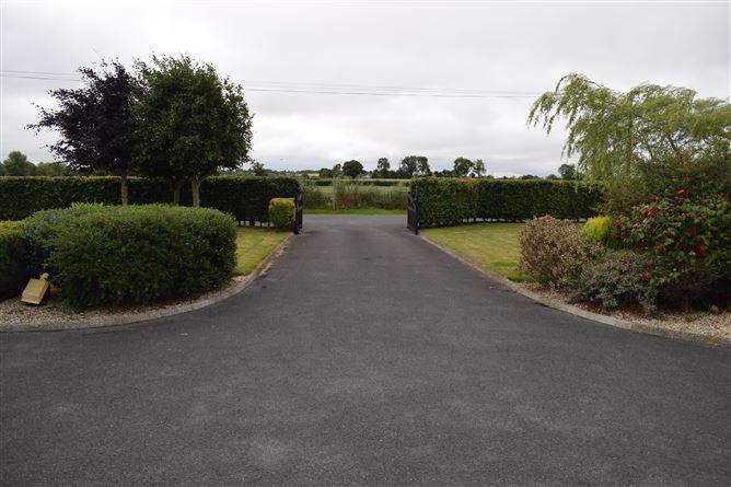 Croagh Phadraig, Ducketts Grove, Palatine, Co. Carlow