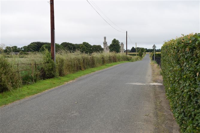 Croagh Phadraig, Ducketts Grove, Palatine, Co. Carlow