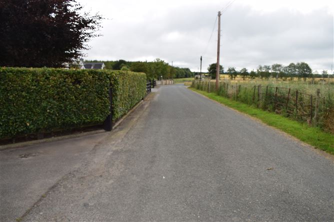 Croagh Phadraig, Ducketts Grove, Palatine, Co. Carlow