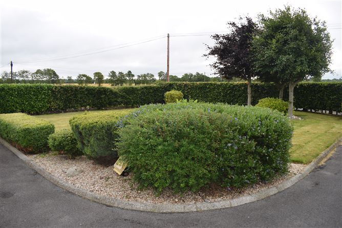 Croagh Phadraig, Ducketts Grove, Palatine, Co. Carlow